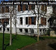 Create Movie Gallery